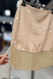 Fringe Sequin Skirt