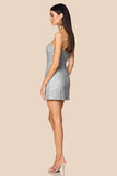 Dress-Grey Tyler Mini